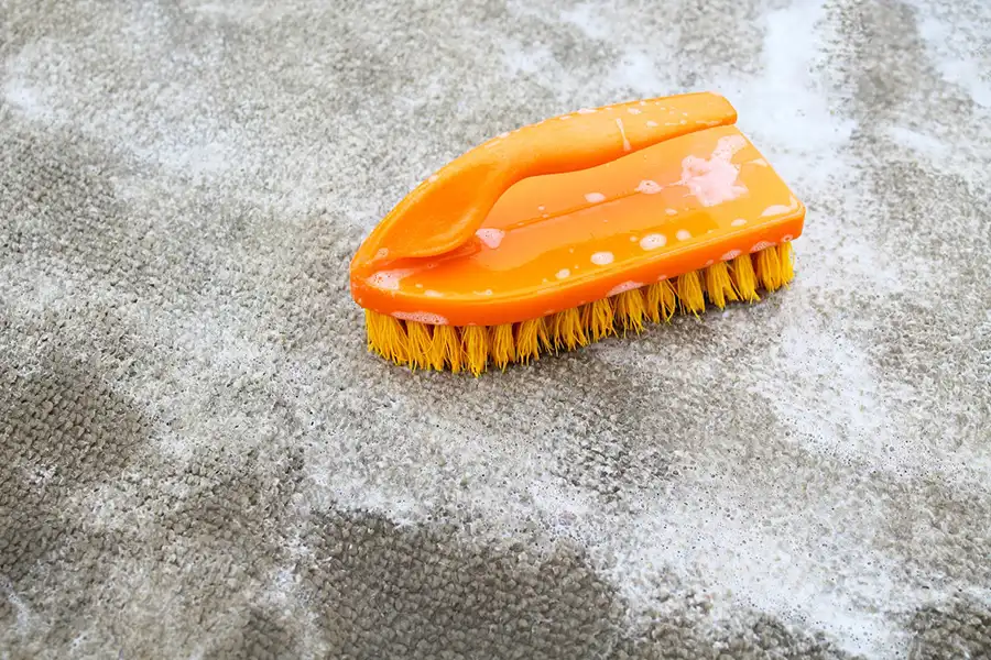 Carpet Shampooing Carpet Shampooing
